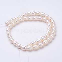 天然養殖淡水パールビーズ連売り  ライス  貝殻色  7~8x6~7mm  穴：0.5mm  約45~46個/連  13.8インチ（352mm）&nbsp;PEAR-P002-55-01