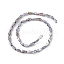 天然淡水貝殻染めビーズ連売り  馬の目  スレートグレイ  9~11.5x4~6mm  穴：0.8mm  約33~41個/連  14.96~15.35インチ（38~39cm）&nbsp;SHEL-M018-13-04