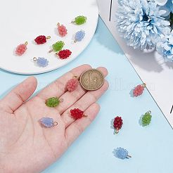 24本4色レジンペンダント  金色の鉄のループで  ブドウ  ミックスカラー  19x9~10mm  穴：2mm  6個/カラー&nbsp;RESI-PH0002-30