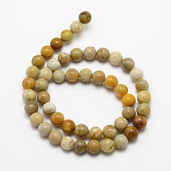 天然化石サンゴのビーズ連売り  ラウンド  6mm  穴：1mm  約59~62個/連  15インチ（39cm）&nbsp;G-K194-6mm-05