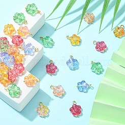 30個5色手作りランプワークチャーム  金色の304ステンレススチールループ付き  梅の花のチャーム  ミックスカラー  18x12.5x5mm  穴：3mm  6個/カラー&nbsp;PALLOY-CJ0002-66