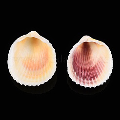天然石シェルペンダント  貝殻の形のチャーム  貝殻色  34~45x32~40x11~15mm  穴：1.5~1.6mm&nbsp;SSHEL-ZX006-10