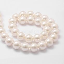 シェルパールビーズ連売り  グレードA  ラウンド  フローラルホワイト  14mm  穴：1mm  約28~29個/連  16インチ&nbsp;BSHE-L026-03-14mm