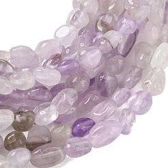 天然石アメジストビーズ連売り  タンブルストーン  ナゲット  6~14x6~8x4~6mm  穴：1mm  約20~24個/連  7.09~7.48''（18~19センチメートル）&nbsp;G-C286-A24