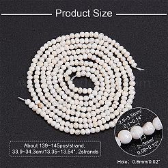 2連天然淡水養殖真珠ビーズ連  ポテト  貝殻色  2.5~3.5x2~3mm  穴：0.6mm  約139~145個/連  13.35インチ〜13.54インチ（33.9~34.3cm）&nbsp;PEAR-NB0002-35