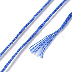10かせ 6層ポリエステル刺繍フロス  クロスステッチの糸  セグメント染め  スチールブルー  0.5mm  約8.75ヤード（8m）/かせ&nbsp;OCOR-K006-A21