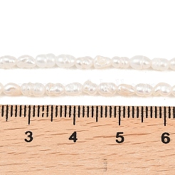 天然養殖淡水パールビーズ連売り  ライス  グレードa ++  パパイヤホイップ  2~3mm  穴：0.5mm  約75~78個/連  13.19~13.39''（33.5~34センチメートル）&nbsp;PEAR-F020-09