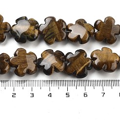天然石タイガーアイビーズ連売り  花  16x16x6mm  穴：1.4mm  約25個/連  14.57~14.96インチ（37~38cm）&nbsp;G-F769-H01-01