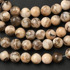 天然長石ビーズ連売り  ラウンド  6mm  穴：1mm  約55個/連  38cm&nbsp;G-S259-26-6mm