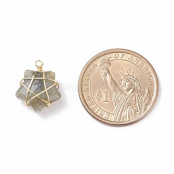 天然石ペンダント  銅線巻き付き  スター  18~20x13~15x6.5~7.5mm  穴：1.5~2mm&nbsp;PALLOY-JF01457-01