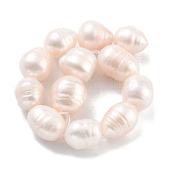 天然養殖淡水パールビーズ連売り  ライス  グレードA  フローラルホワイト  11~12mm  穴：0.6mm  約15~16個/連  7.09''（18センチメートル）&nbsp;PEAR-P062-11B