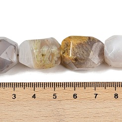 天然石ボツワナアゲートビーズ連売り  多面カット  ナゲット  19.5~23x14~15.5x13.5~15.5mm  穴：0.9mm  約18~19個/連  14.96~15.47''（38~39.3センチメートル）&nbsp;G-F796-C03-01