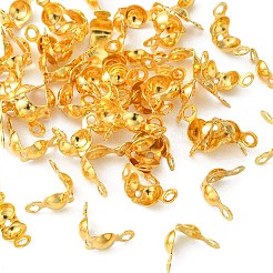 真鍮製ダルマチープ  カロット終了  クラムシェルノットカバー  ゴールドカラー  7x4mm  穴：1mm  内径：3mm&nbsp;KK-YW0001-53G