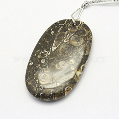 天然な化石ペンダント  混合図形  30~66x18~52x3~14mm  穴：2mm&nbsp;G-G694-A-07