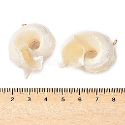 天然石海シェルペンダント  ライトゴールドトーンの鉄製ループが付いた貝殻型のチャーム  貝殻色  37~43x28~31x21~27mm  穴：1.8mm&nbsp;X-SSHEL-C013-03