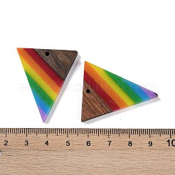 虹色の不透明樹脂と木製のペンダント  逆三角形のチャーム  カラフル  37x31x3.5mm  穴：1.8mm&nbsp;WOOD-K012-13