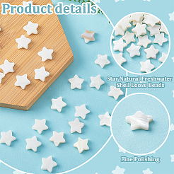 天然シェルビーズ連売り60本  星形の  12x12x3mm  穴：0.8~1mm  30個/スタイル&nbsp;SHEL-PH0002-30