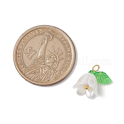 20個の不透明なアクリルパーツ  真鍮のループを有します  ゴールドカラー  花  ホワイト  13x13x13mm  穴：1.8mm&nbsp;PALLOY-JF02870