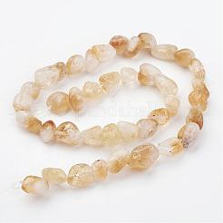 天然石シトリンビーズ連売り  ナゲット  8~15x4~8mm  穴：1mm  約40~50個/連  14.5インチ（37cm）&nbsp;G-G950-S-07