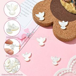 天然シェルビーズ  水平穴  鳥  ホワイト  13x13x3mm  穴：0.7mm&nbsp;BSHE-H017-02