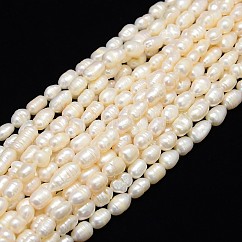 天然養殖淡水パールビーズ連売り  ねじり模様  ライス  乳白色  7~8mm  穴：0.8mm  約38個/連  13.77インチ〜14.17インチ