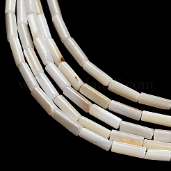 天然淡水シェルビーズ連売り  コラム  貝殻色  6~6.5x2mm  穴：0.4mm  約62個/連  15.28インチ（38.8cm）&nbsp;SHEL-C010-02A