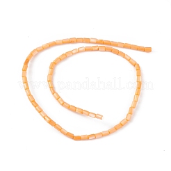天然淡水貝殻染めビーズ連売り  コラム  オレンジ  4.8x3mm  穴：0.8mm  約78個/連  14.96''（38センチメートル）&nbsp;SHEL-M018-12-07