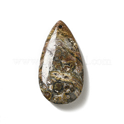 天然ヒョウ肌ジャスパーペンダント  ティアドロップチャーム  39~39.5x19~19.5x6.5~7mm  穴：1.2mm&nbsp;G-F731-04G