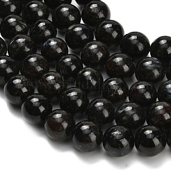 天然藍閃石ビーズ連売り  ラウンド  ラウンド  8.5mm  穴：1mm  約49個/連  15.94インチ（40.5cm）&nbsp;G-L642-B03-8mm