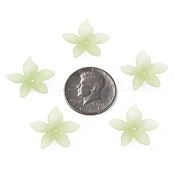 透明なアクリルビーズ  艶消し  花  薄緑  26x27x6mm  穴：1.8mm  約980個/500g&nbsp;MACR-S373-127-D06