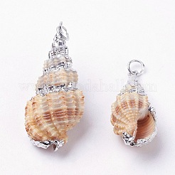 電気メッキ巻き貝ペンダント  鉄パーツ  巻き貝  プラチナ  24~45x14~20x12~18mm  穴：4mm&nbsp;BSHE-L036-12