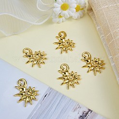 304ステンレススチールペンダント5個  巻き貝  PVD真空メッキ  18KGP本金メッキ  32x25x3mm  穴：4mm&nbsp;STAS-SZ0003-60