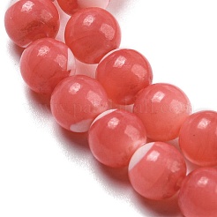 染色された天然トロクスシェルビーズ連売り  ラウンド  ライトコーラル  7.5~8mm  穴：1mm  約51個/連  14.49インチ（36.8cm）&nbsp;BSHE-G034-25B