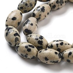 天然石ダルメシアンジャスパービーズ連売り  ライス  12x8mm  穴：1.2mm  約33個/連  15.94''（40.5センチメートル）&nbsp;G-B106-B20-01
