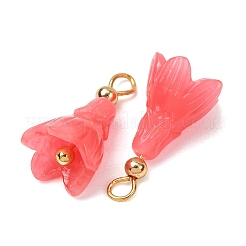 染色された合成サンゴペンダント  真鍮製のループが付いた花のチャーム  18KGP本金メッキ  ミックスカラー  19x10mm  穴：3mm&nbsp;GG-CBAC295-03G