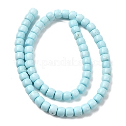 天然マグネサイトビーズ連売り  染め＆加熱  バレル  ライトシアン  7x6mm  穴：1mm  約59個/連  15.55''（39.5センチメートル）&nbsp;G-P598-C01-01B