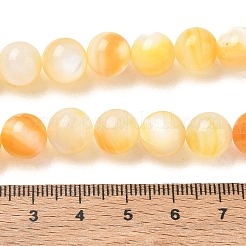 天然な黄色のシェルビーズ連売り  スムーズなラウンド  ゴールド  9~10mm  穴：1mm  約43個/連  15.35インチ（39cm）&nbsp;SH-CBACA76-16C