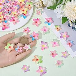 72個 12種類のプラスチックカボション  花  ミックスカラー  21~27x22~30x6~6.5mm  6個/スタイル&nbsp;KY-SC0002-58
