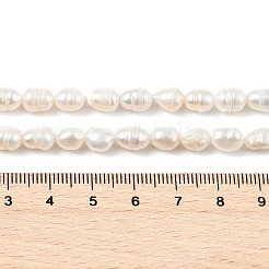 天然養殖淡水パールビーズ連売り  ライス  グレードA  古いレース  5~6mm  穴：0.7mm  約44~49個/連  13.78~13.98''（35~35.5センチメートル）&nbsp;PEAR-I007-01B-02B-01