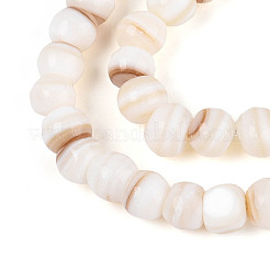 天然淡水シェルビーズ連売り  ロンデル  貝殻色  6~7x3~6mm  穴：0.5mm  約69~70個/連  14.96~15.16インチ（38~38.5cm）&nbsp;SHEL-N038-04