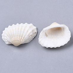 天然シェルビーズ  ドリルなし/穴なしビーズ  貝殻色  12~27x15~35x5~12mm&nbsp;SSHEL-S258-73