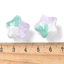 透明なアクリルビーズ  手描きのビーズ  スター  キラキラパウダー＆エナメル入り  アザミ  19~19.5x20.5~21x16mm  穴：2mm&nbsp;OACR-D304-03H
