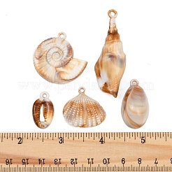 25種類のスタイルのアクリル製ビッグペンダント5個  天然石風  シェル  ミックスカラー  23.5~57.5x14.5~34x5~15mm  穴：2~2.8mm  5個/スタイル&nbsp;OACR-FP0001-36