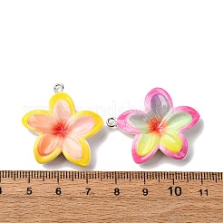 不透明樹脂ペンダント  プルメリア  プラチナ鉄ループ付き  ミックスカラー  28~32x26.5~30x5.5~6.5mm  穴：2mm&nbsp;RESI-A046-05E
