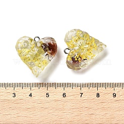 内側のドライフラワー透明樹脂ペンダント  真鍮のパーツと  ハートチャーム  きいろ  25.5x25.5x11mm  穴：1.8mm&nbsp;LS-RESI-A043-03B