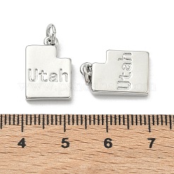 真鍮チャーム  ユタの文字が入ったナゲット  長持ちメッキ  ラックめっき  鉛フリー＆カドミウムフリー  プラチナ  16.5x11.5x2.5mm  丸カン：5x1ミリ  3mm内径&nbsp;KK-D229-22C-P