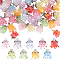 72個9色アクリルパーツ  花のチャーム  合金のパーツと  プラチナ  12.2x11.1mm  8個/カラー&nbsp;OACR-SC0002-38A