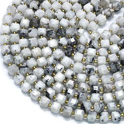天然レインボー ムーンストーン ビーズ 連売り  多面カット  キューブ  8~9.3x8~9.3x8~9.3mm  穴：0.6mm  約38個/連  15.35''（39センチメートル）&nbsp;G-K389-A75-01