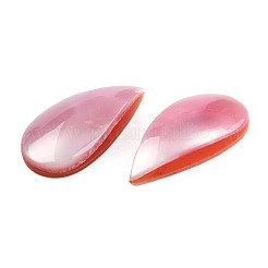ナチュラル ターボ コーニュラス/トップ シェル カボション  アクリルとシェルとの  染め  ティアドロップ  ピンク  21x10.5x4~4.5mm&nbsp;SSHEL-N003-156B