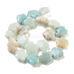 天然フラワーアマゾナイトビーズ連売り  花  20x20x6mm  穴：1.4mm  約20個/連  14.57~14.96インチ（37~38cm）&nbsp;G-F769-F01-02